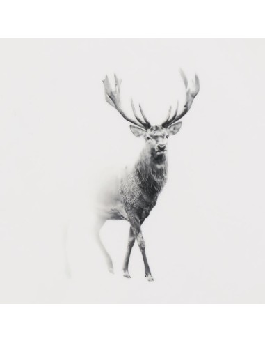 Corbeille bois de manguier er résine CERF