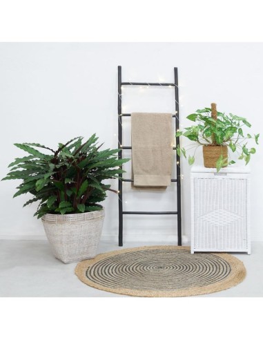 Echelle en bambou noire