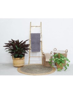Echelle bambou vernis 2