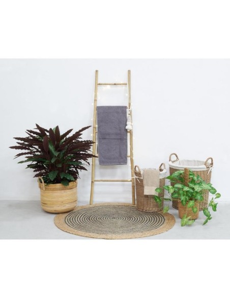 Echelle bambou vernis