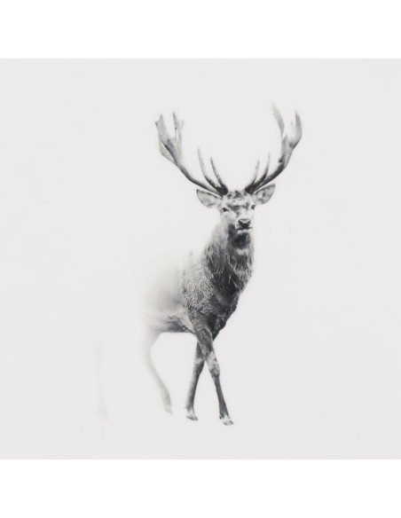 Plateau en manguier et résine