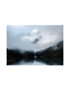 Tableau Forest 64 x 94 cm