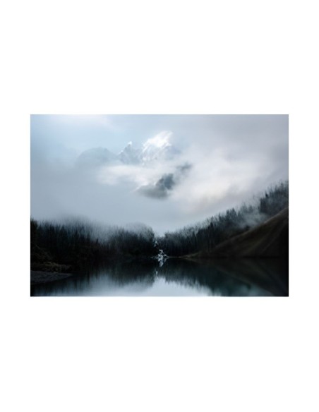 Tableau Forest 64 x 94 cm