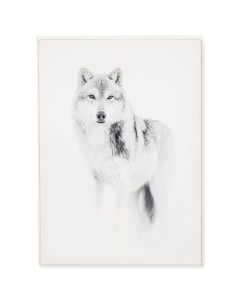 tableau Loup N/B 84 x 124 cm