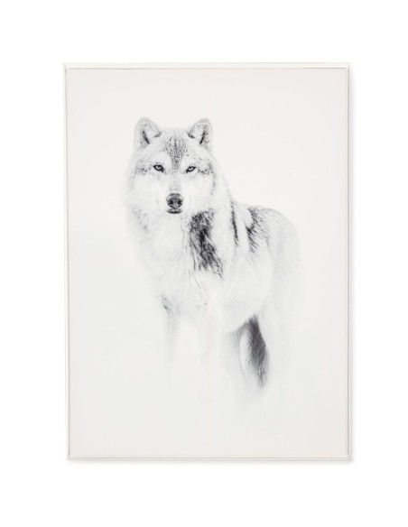 tableau Loup N/B 84 x 124 cm