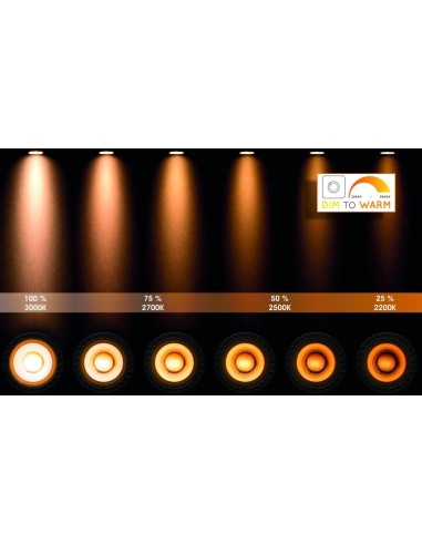 Spot plafonnier noir