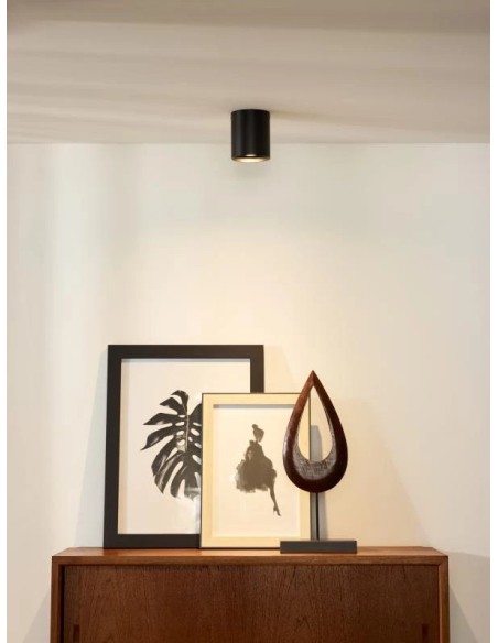 Spot plafonnier noir