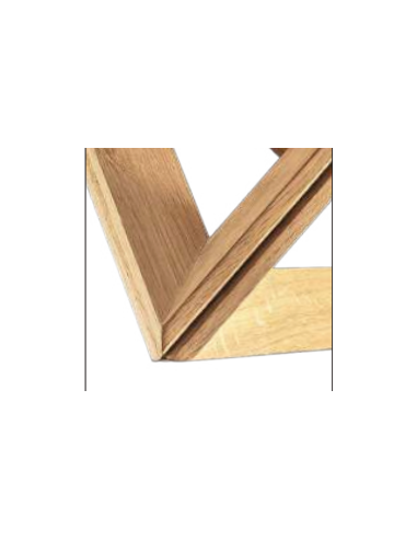 Suspension géométrique