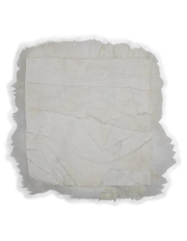 Coussin d'assise nouvelle-zélande