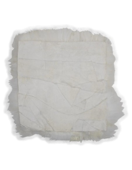 Coussin d'assise nouvelle-zélande