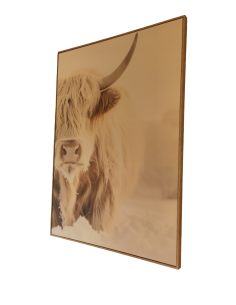 Tableau "Yack" blanc - 143/103cm