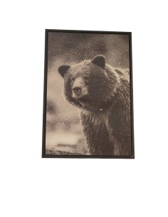 Tableau Ours - Charme Féroce - 60/90