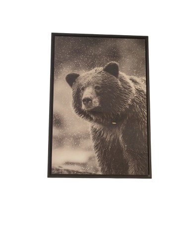 Tableau Ours - Charme Féroce - 60/90