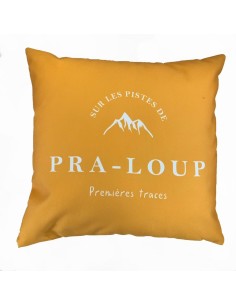 Coussin sur les pistes de Pra-Loup