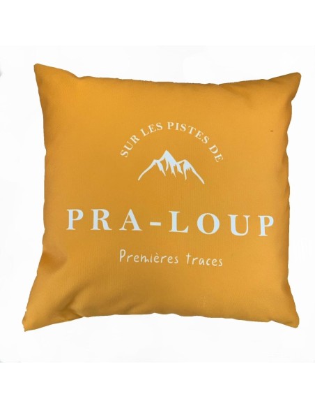 Coussin sur les pistes de Pra-Loup