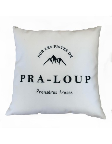 Coussin sur les pistes de Pra-Loup