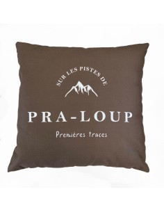 Coussin sur les pistes de Pra-Loup