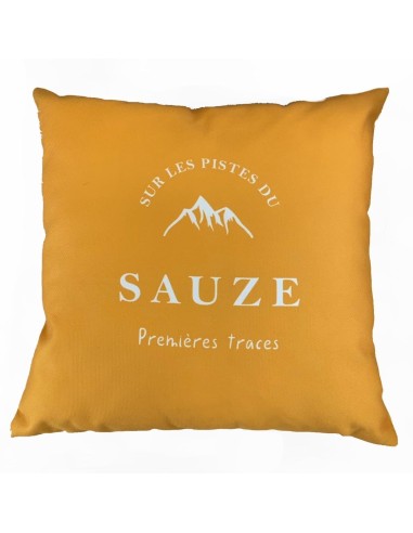 Coussin sur les pistes du Sauze