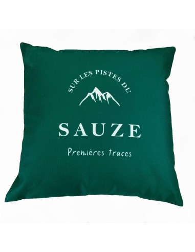 Coussin sur les pistes du Sauze